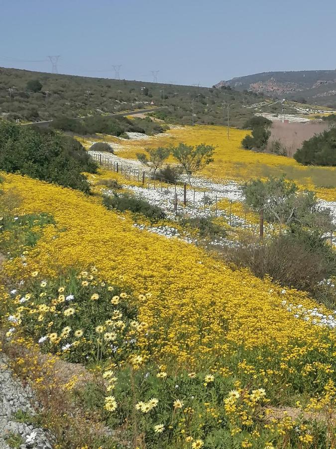Bokkomblommetjie Lambertʼs Bay Eksteriør billede